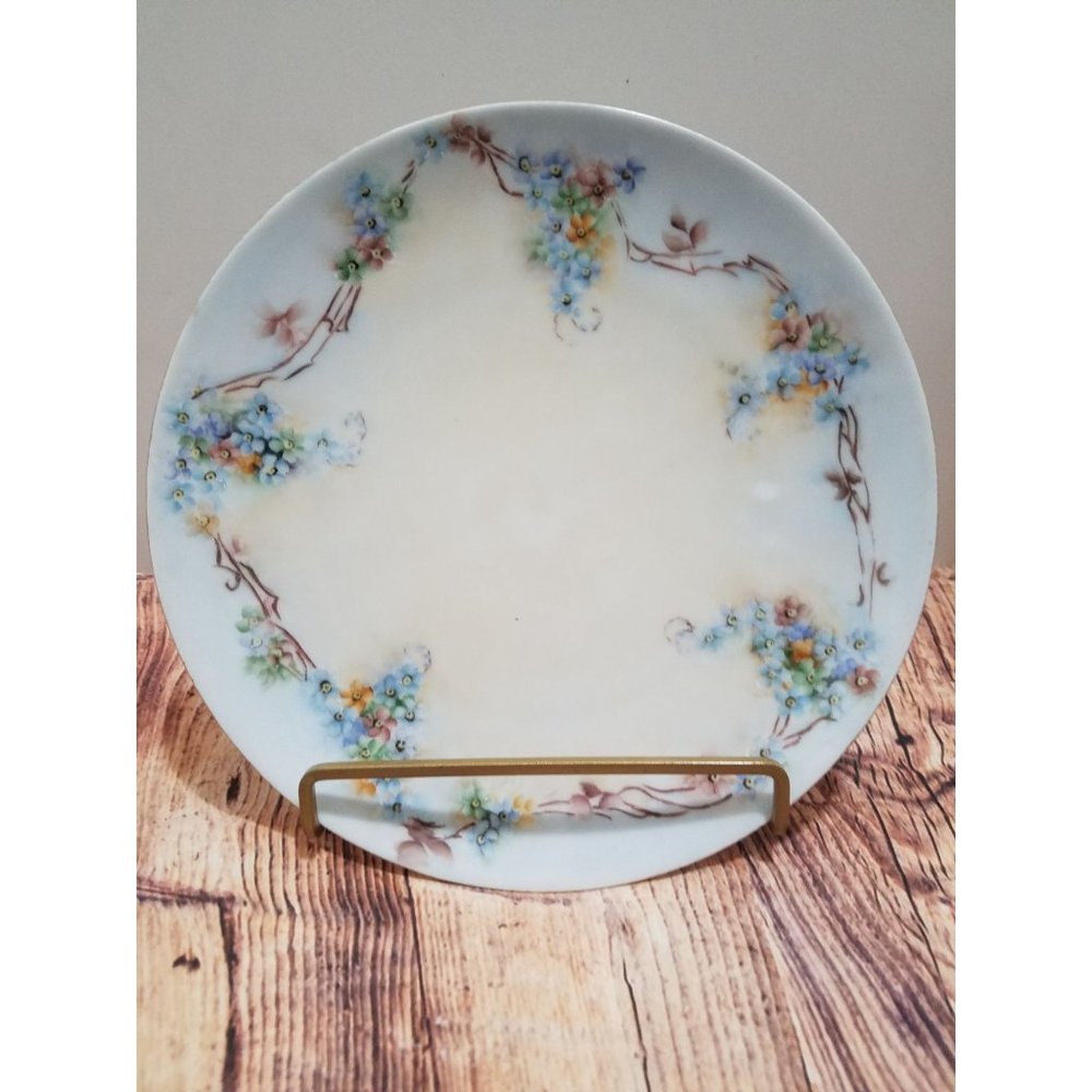 Thomas Sevres Bavaria Plate Hand Painted Wildflowers